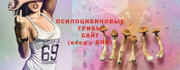 трава Горно-Алтайск