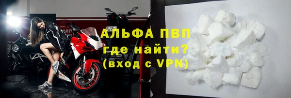 спиды Горняк