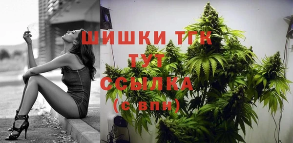 спиды Горняк