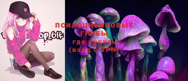 спиды Горняк