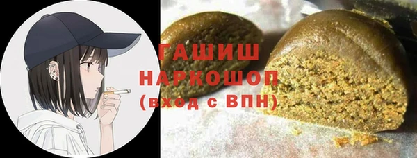 спиды Горняк