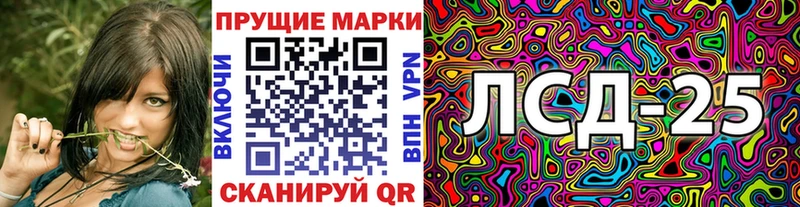 где купить наркоту  Жирновск  Марки NBOMe 1500мкг 