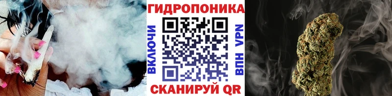 Бошки марихуана THC 21%  закладки  Жирновск 